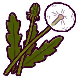 Dandelion
