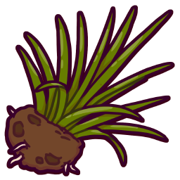 Tuft of Grass