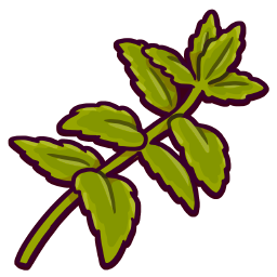 Wild Mint