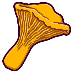 Chanterelle