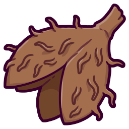 Beechnut