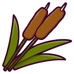 Cattail