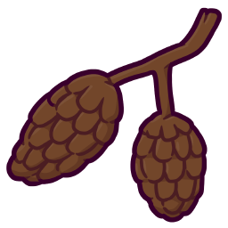 Tiny Pinecones