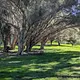 Walk photo from Saturday, July 25