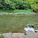 Walk photo from Thursday, August 6