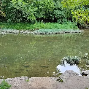 Eagle Creek at Elm Street Green Park