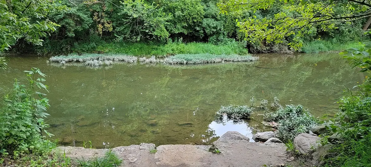Eagle Creek at Elm Street Green Park