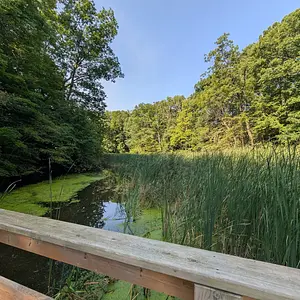 Walk photo from August 15, 2026