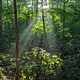 Walk photo from Sunday, August 16
