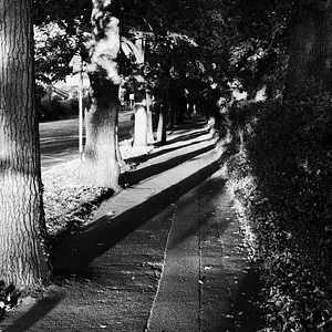 Walk photo from August 12, 2026