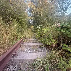 Walk photo from August 12, 2026