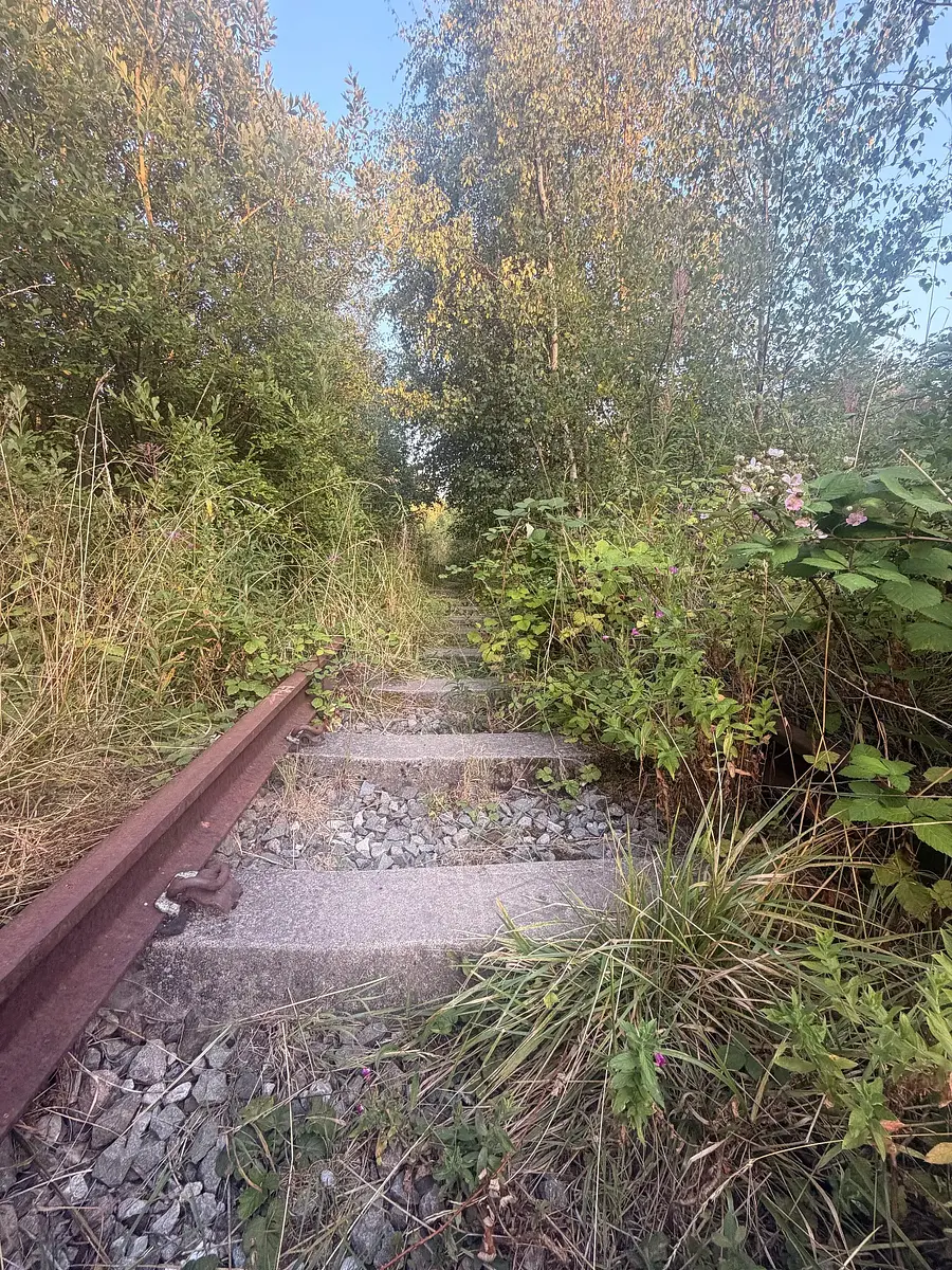 Walk photo from Wednesday, August 12