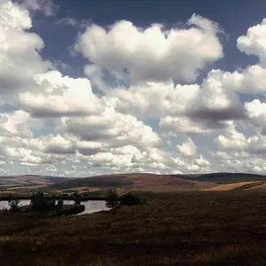 Walk photo from August 22, 2026