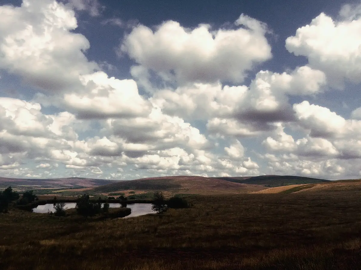 Walk photo from Saturday, August 22