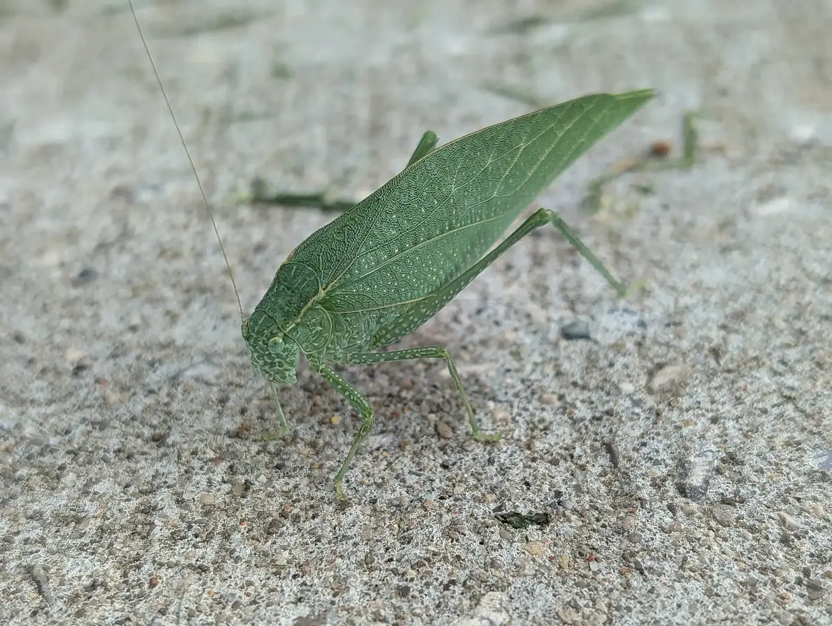 Walk photo from Wednesday, August 19