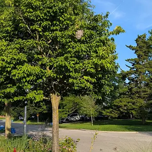 Walk photo from August 26, 2026
