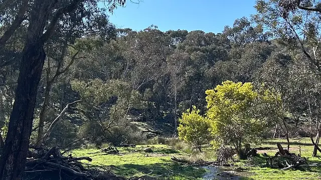 A walk shared in The Meadow