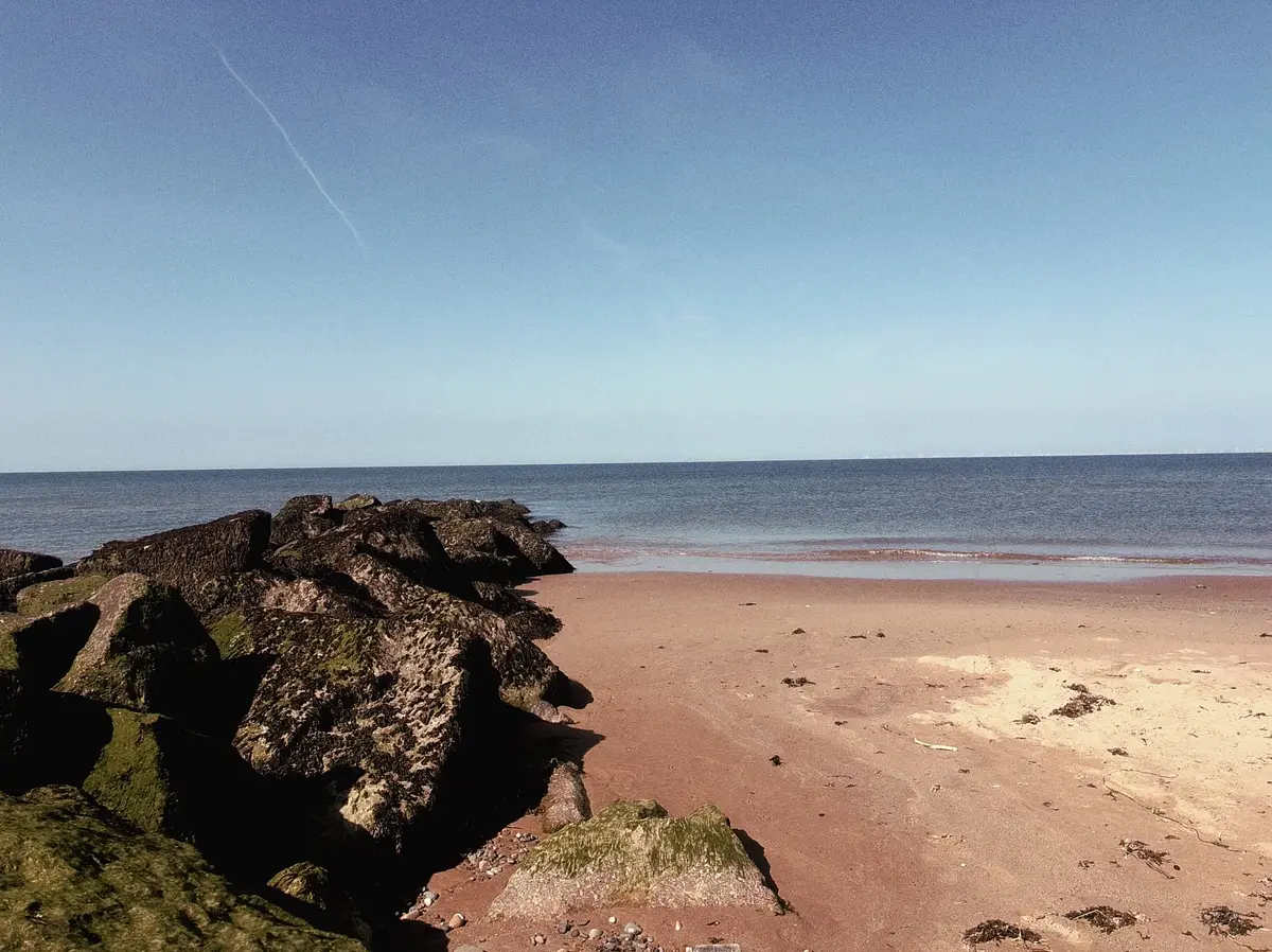 Walk photo from Monday, August 24