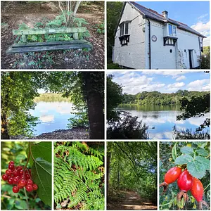Colemere