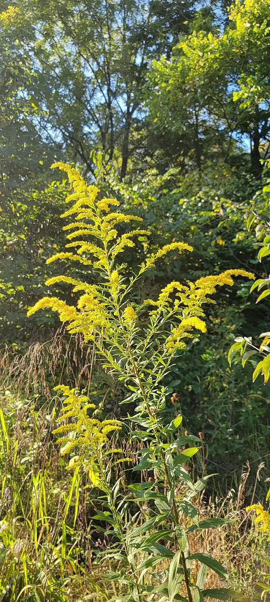 Walk photo from Monday, September 14