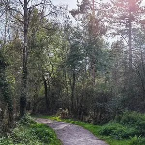 Walk photo from September 27, 2026