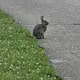 Walk photo from Friday, May 29