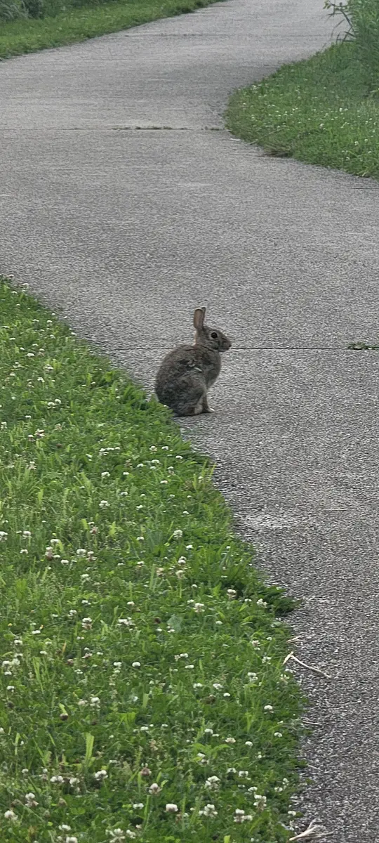 Walk photo from Friday, May 29