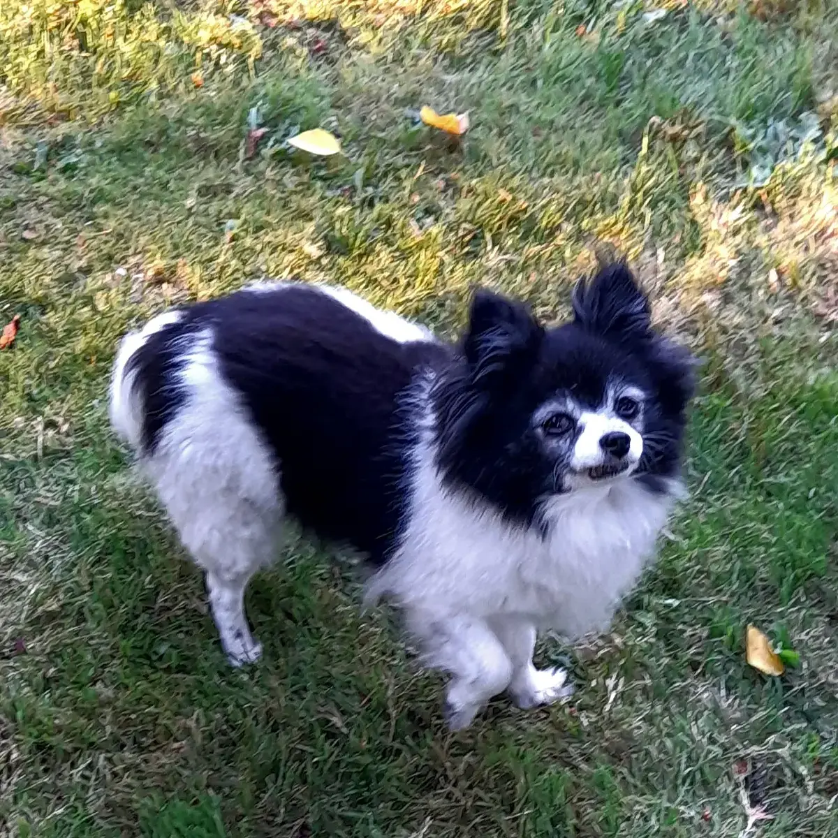 Walk photo from Friday, October 9