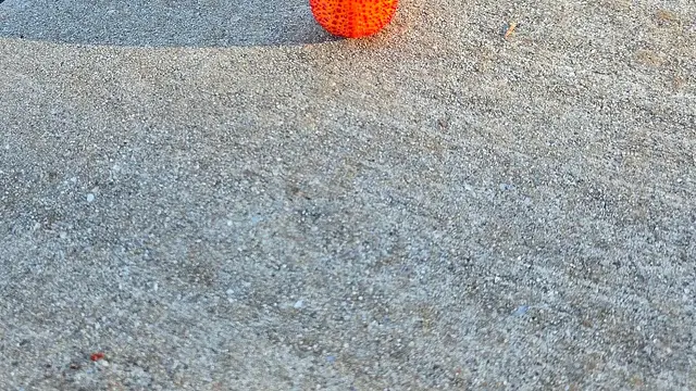 Weird, slightly spikey fruit from a neighbor's tree.