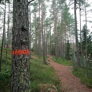 Walk photo from October 28, 2026