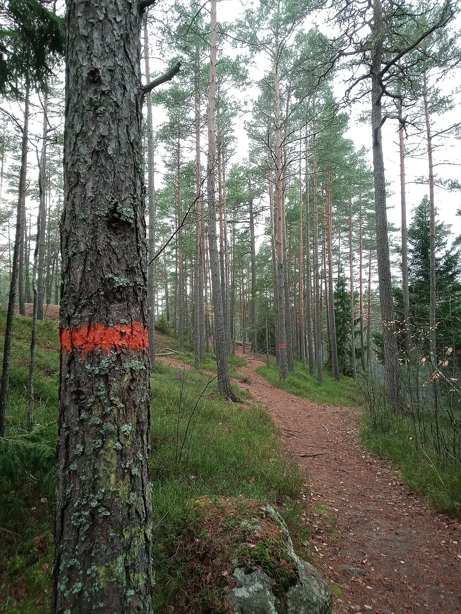 Walk photo from Wednesday, October 28