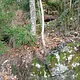 Walk photo from Wednesday, October 28