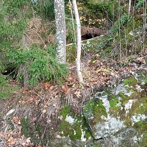 Walk photo from October 28, 2026