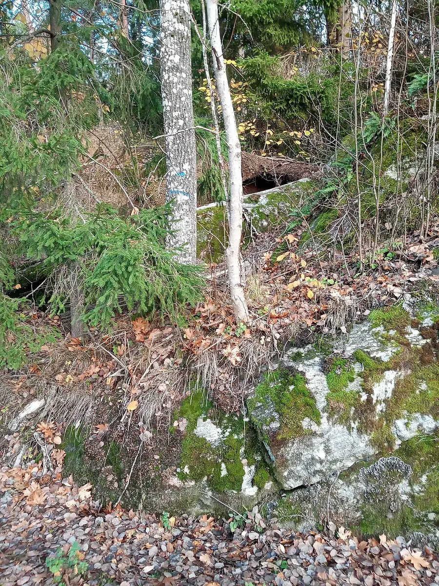 Walk photo from Wednesday, October 28