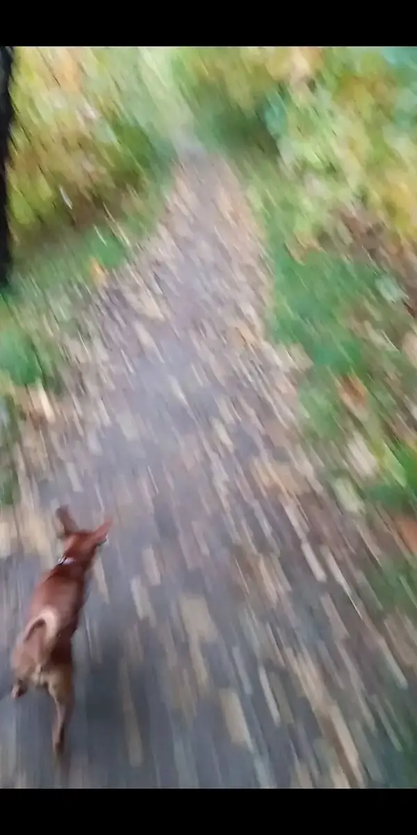 Walk photo from Saturday, October 24