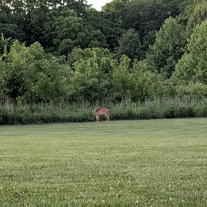 Walk photo from June 13, 2026