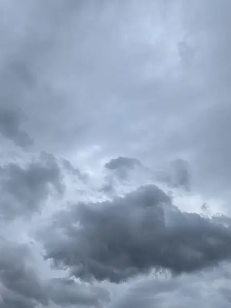 A photo shared by a cozy walker