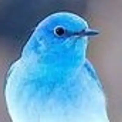 Seablue