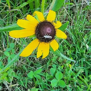 Walk photo from June 23, 2026