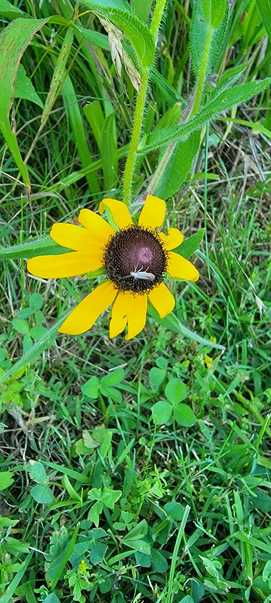 Walk photo from Tuesday, June 23