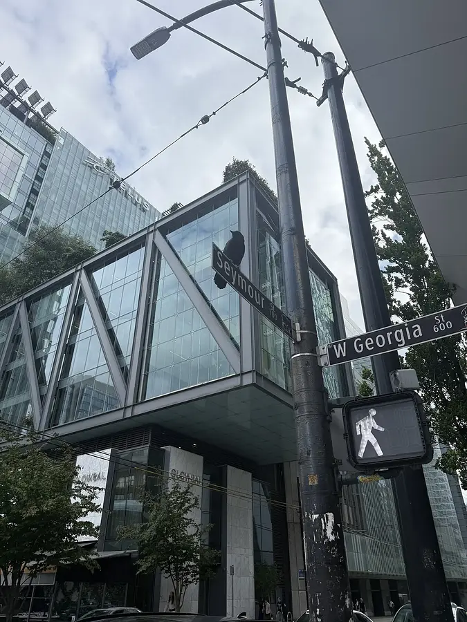 Walk photo from June 29, 2026