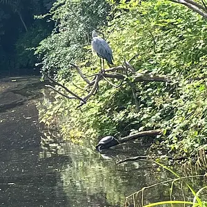 Walk photo from June 30, 2026