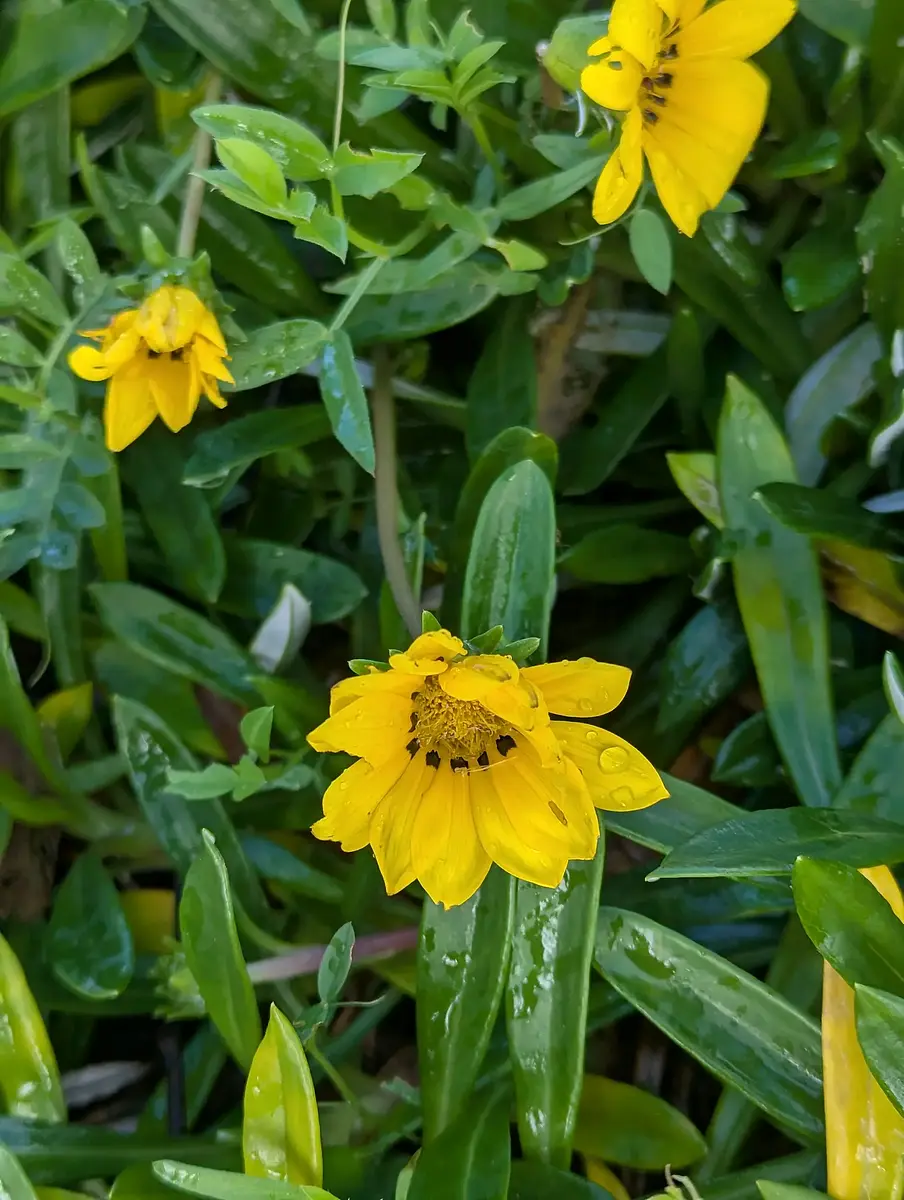 Walk photo from Wednesday, July 1