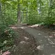 Walk photo from Tuesday, July 7
