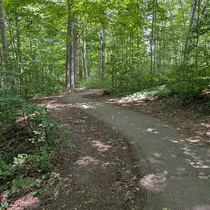 Little forest trail I always cut through