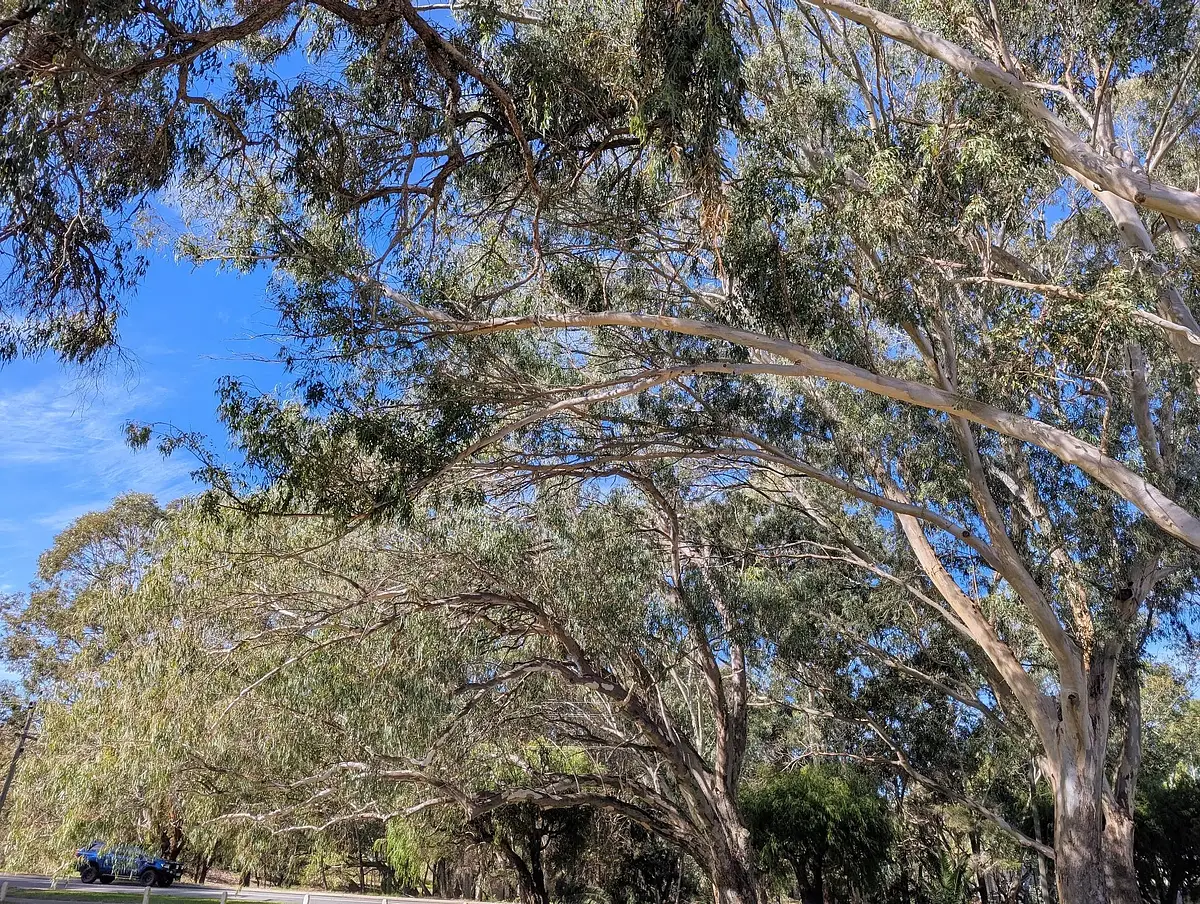 Blue, blue Winter skies