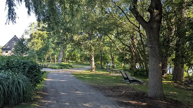 A walk shared in The Meadow
